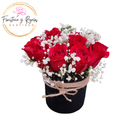 CAJA REDONDA 12 ROSAS E ILUMINACION