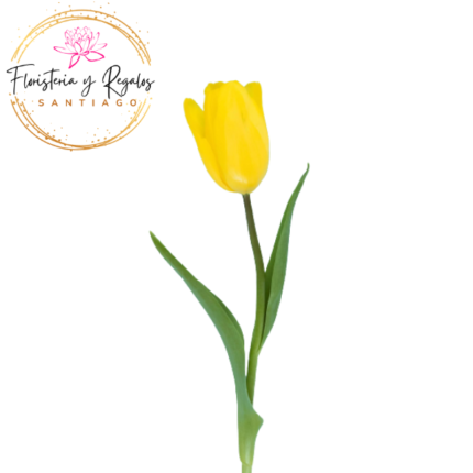 TULIPAN PARA ADICIONAR