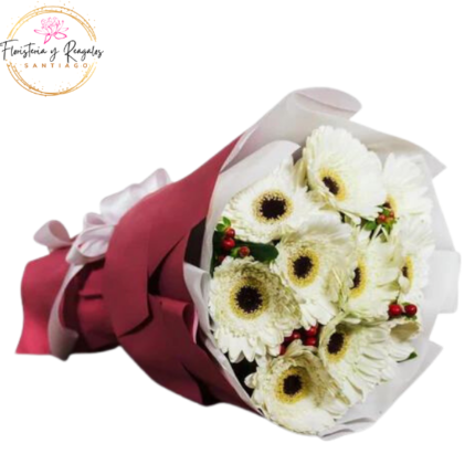 RAMO 12 GERBERAS